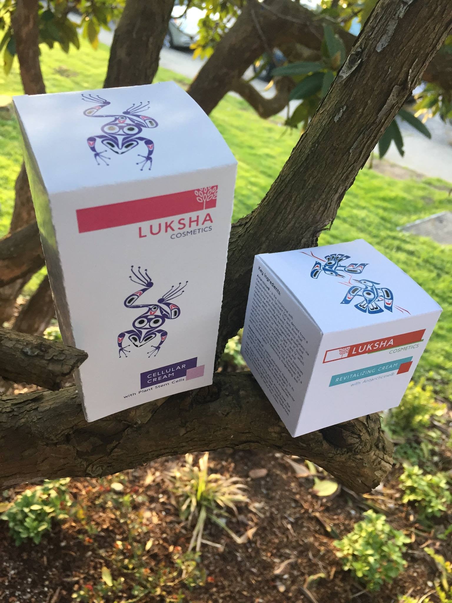 Luksha products are even more exciting now!