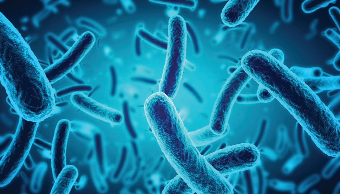The Hidden Hero of Your Skin: Cutibacterium acnes